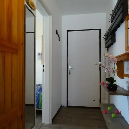Familial 6 Pers Avec Balcon Et Acces Direct Aux Pistes - Fr-1-602-79 Apartment *